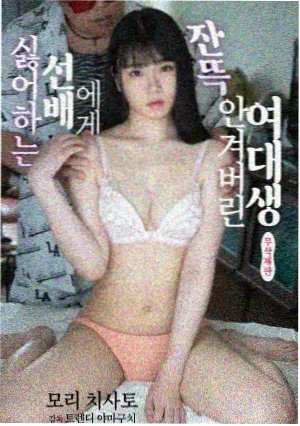 年代剧旧城手记条目封面